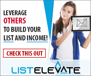 300x250 Banner Ad